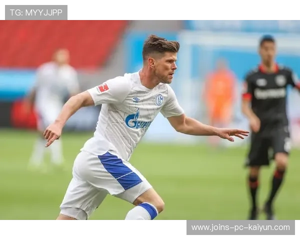 西汉姆联补入前场支点